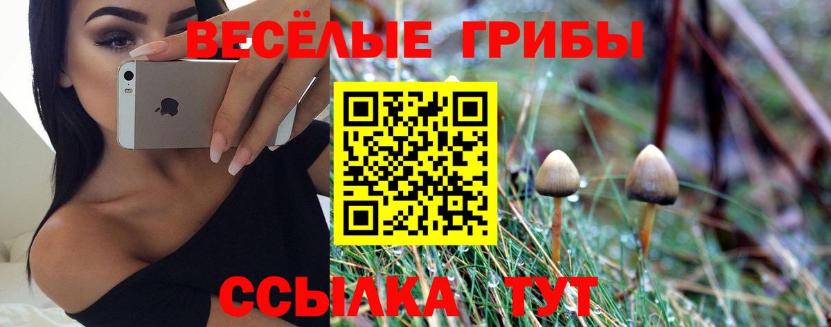 Красноуфимск  Галлюциногенные грибы ЛСД  Вход с VPN  Галлюциногенные грибы Psilocybe 